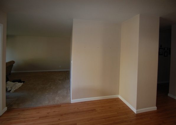 Interior walls removing